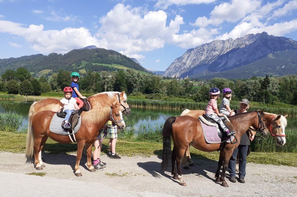 Guided tour with a pony - Imprese #1