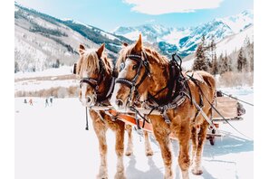 Pferdeschlitten inmitten der Schladminger Winterlandschaft | © Goglhof