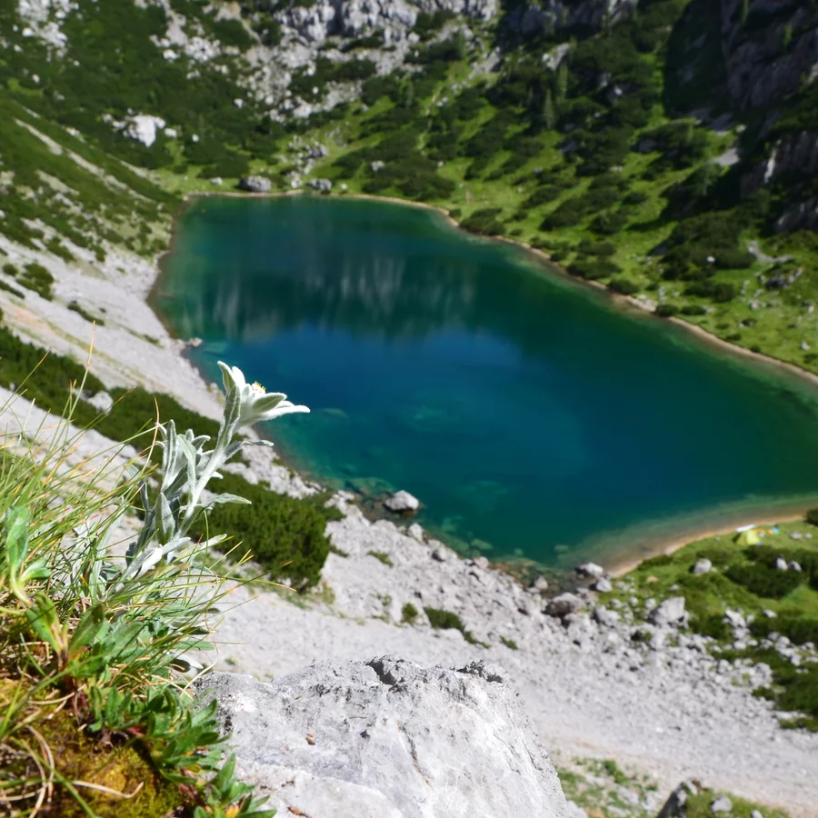 Königsetappe (no. 3)  Tours in Schladming-Dachstein