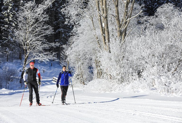 Cross-country skiing in Untertal - Imprese #2.9 | © Gerhard Pilz/Tourismusverband Schladming - Martin Huber