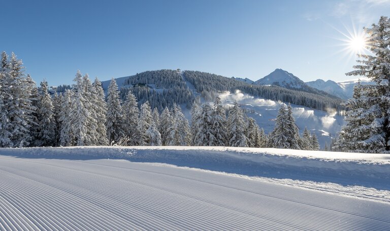 Skitouring