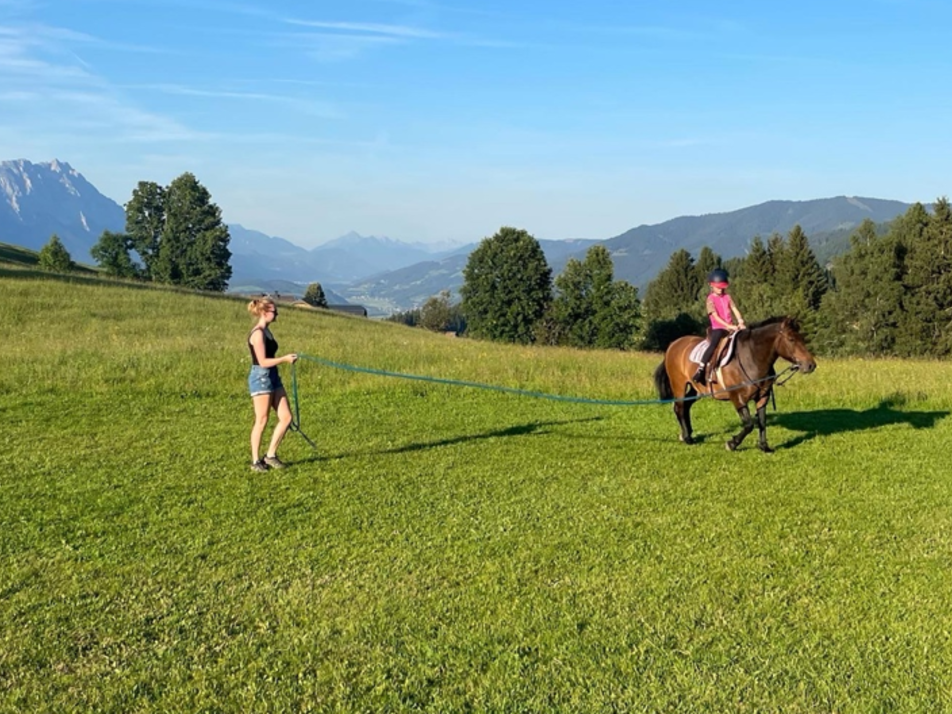 Farm cinema & riding at Hirzhof - Imprese #1