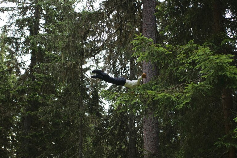 Landart Rittisberg Ramsau 2024 - Impression #2.2