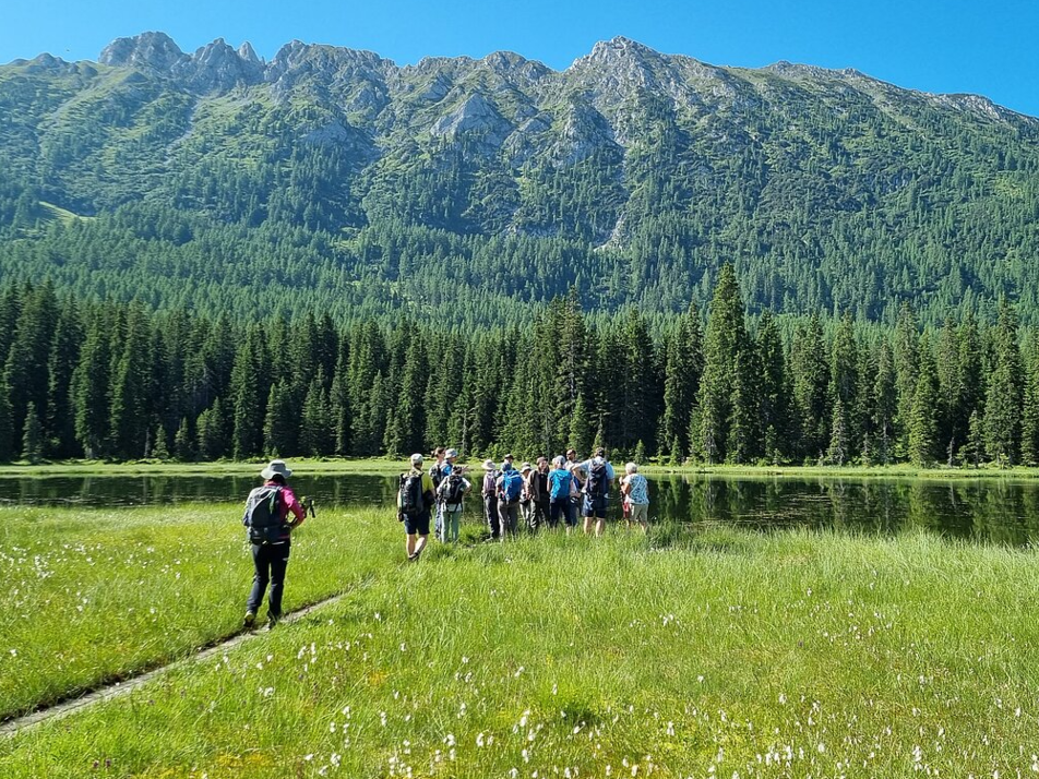 Botanical hikes - Imprese #1 | © Museum Joanneum