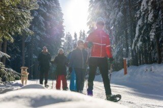 Winterwochenprogramm Alpincenter Dachstein Ski & Langlaufschule Ramsau  - Imprese #2.4 | © Alpincenter