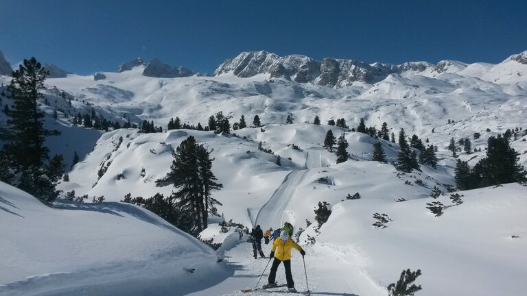 Winterwochenprogramm Alpincenter Dachstein Ski & Langlaufschule Ramsau  - Imprese #2.2 | © Alpincenter