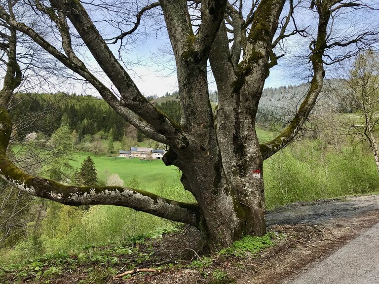 Am Ausgangspunkt der Wanderung | © Sabine Schulz