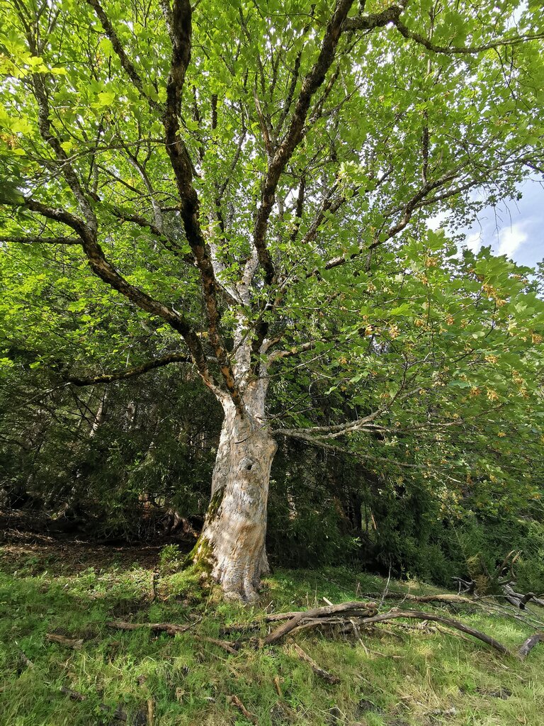 Auch ein Natur.Kraft.Platz. | © Landentwicklung Steiermark