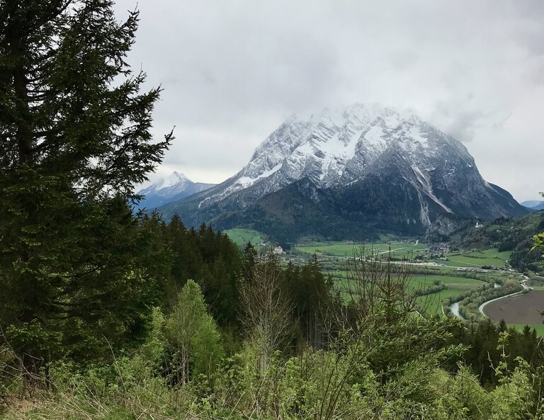 Blick auf den Grimming | © Sabine Schulz