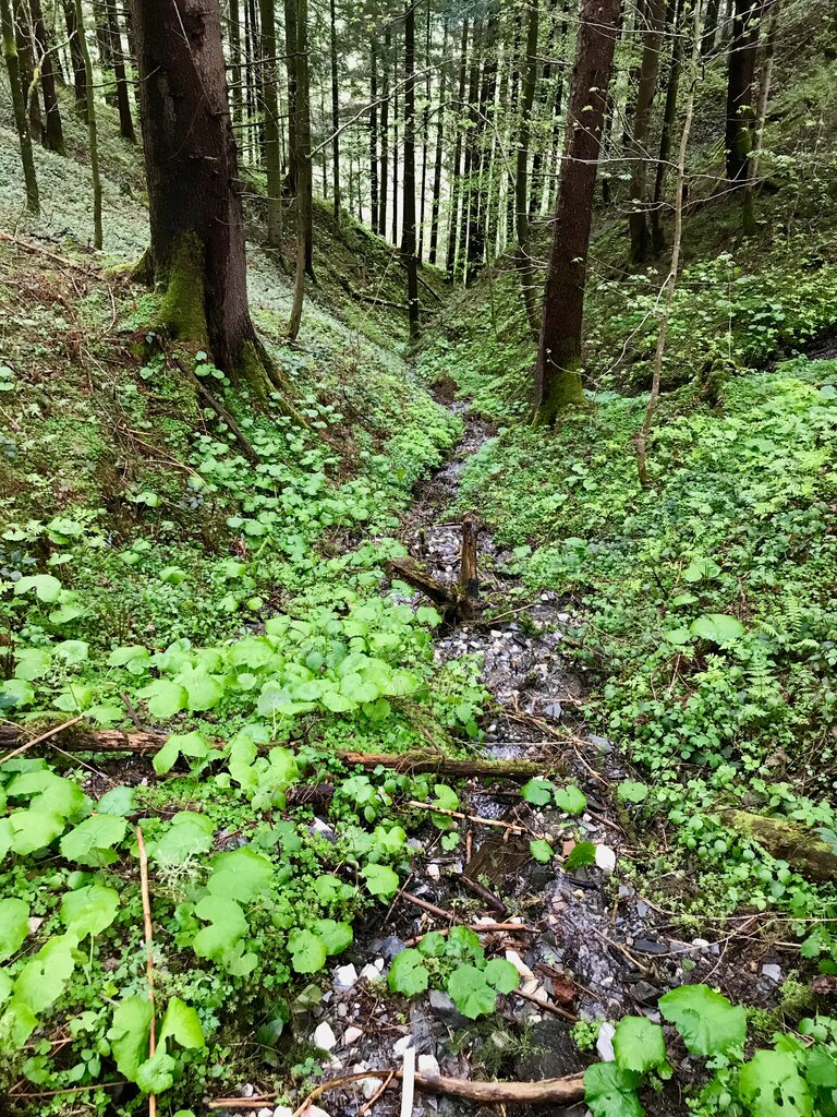 Auf dem Weg zum Heiligenbründl