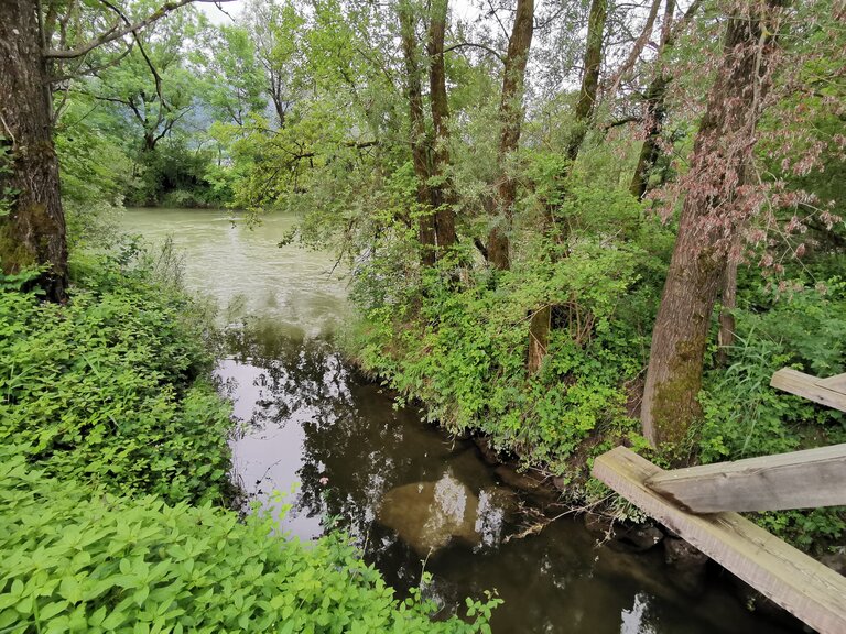 Nahe dem Wasserplatz an der Enns | © Landentwicklung Steiermark