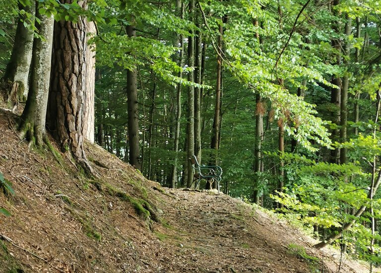 Felsen-Wasser-Platz am östlichen Fürstensteig - Impression #2.2