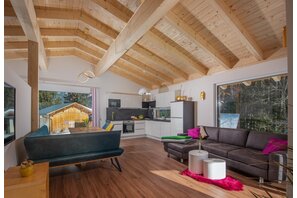 wohnzimmer1 ferienwohnung ahorn ramsau am dachstei