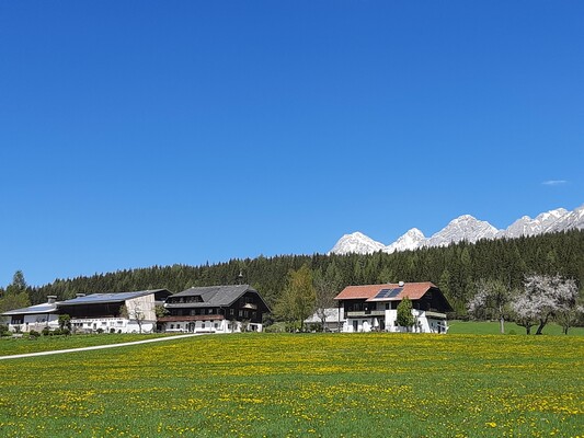 Frühling