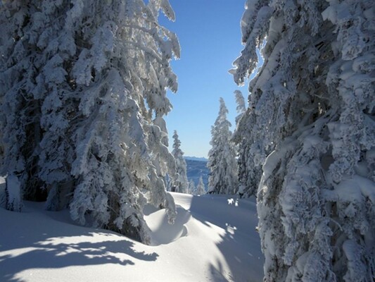 Winterlandschaft