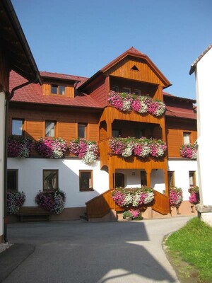 Lettmaierhof - Blumenpracht