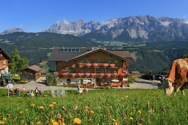 Rücklhof_Schladming-Dachstein_Bauernhof_urig_gemüt